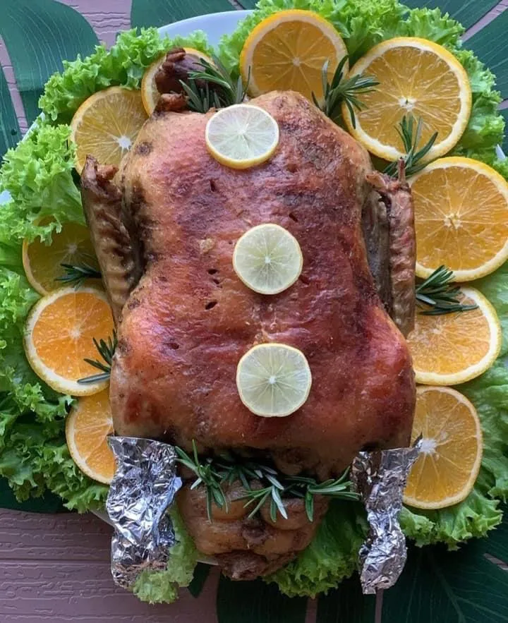 Stuffed Duck